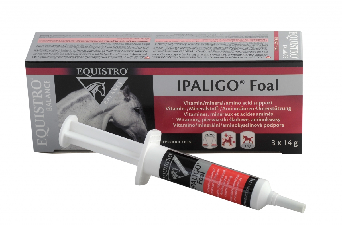 ipaligo_foal_0.jpg