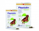 Flexadin Advanced