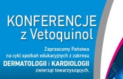 konferencje